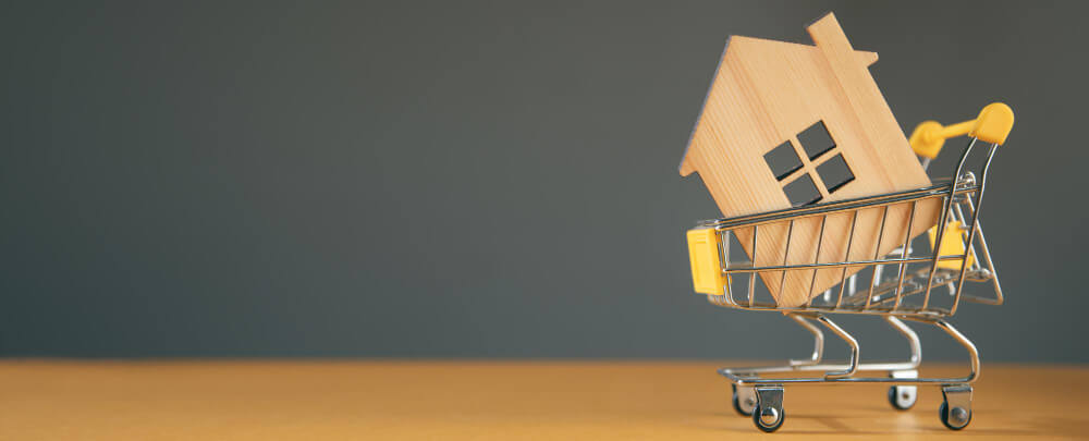 wooden small house in tiny shopping trolley
